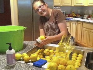 josalyn-bonney-lemonade-jpg-20140807